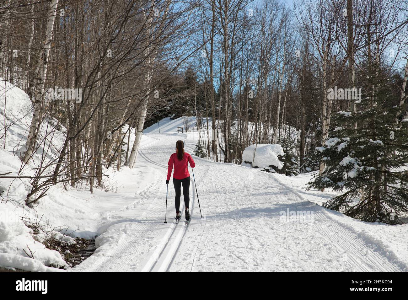 Cross Country skiing Classic Style Nordic Skiing in Forest. Woman in winter doing fun winter sport activity in the snow on cross country ski in Stock Photo