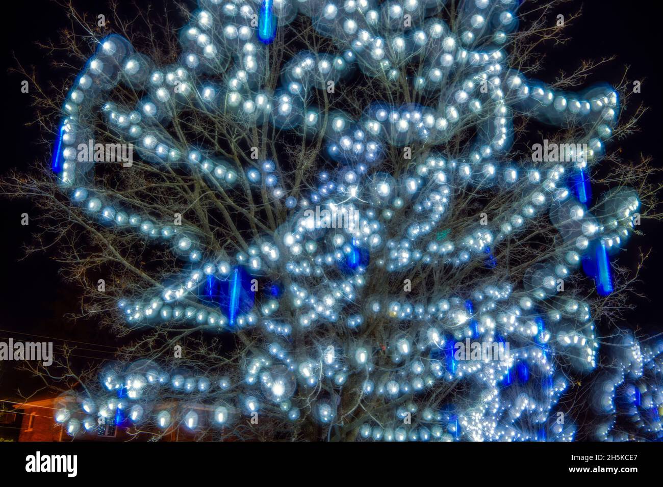 Festive lights in Bracebridge Park, Bracebridge, Ontario, Canada Stock Photo
