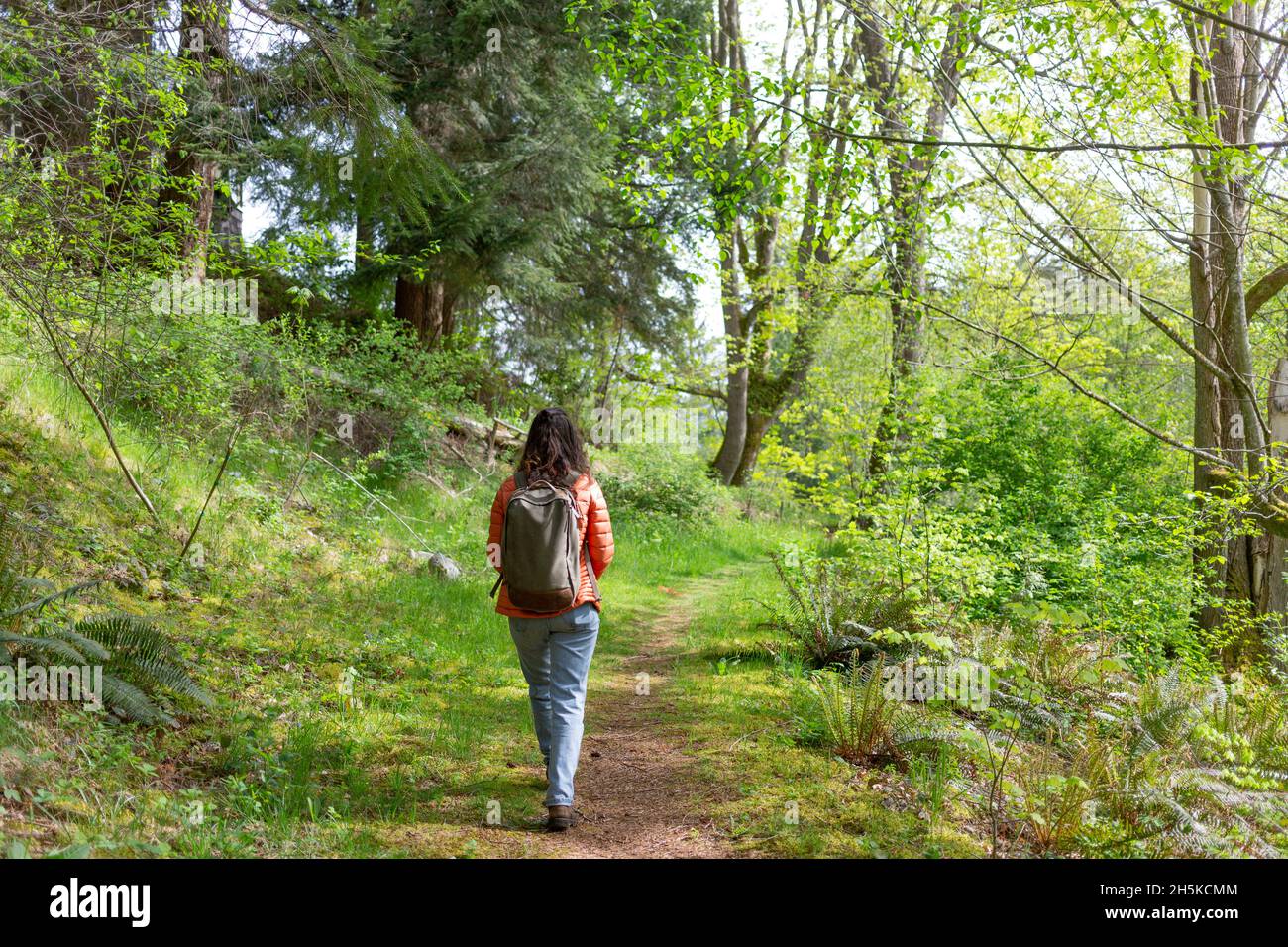 Woman walking through woods; Surrey, British Columbia, Canada Stock Photo