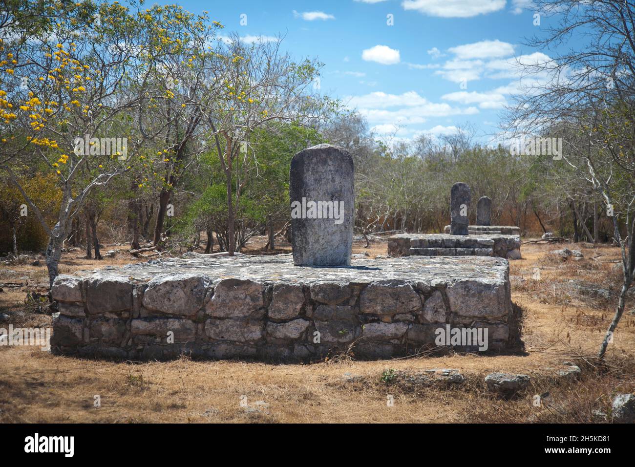 Stelae plaza at the Mayan archaeological site of Dzibilchaltun; Merida, Yucatan, Mexico Stock Photo