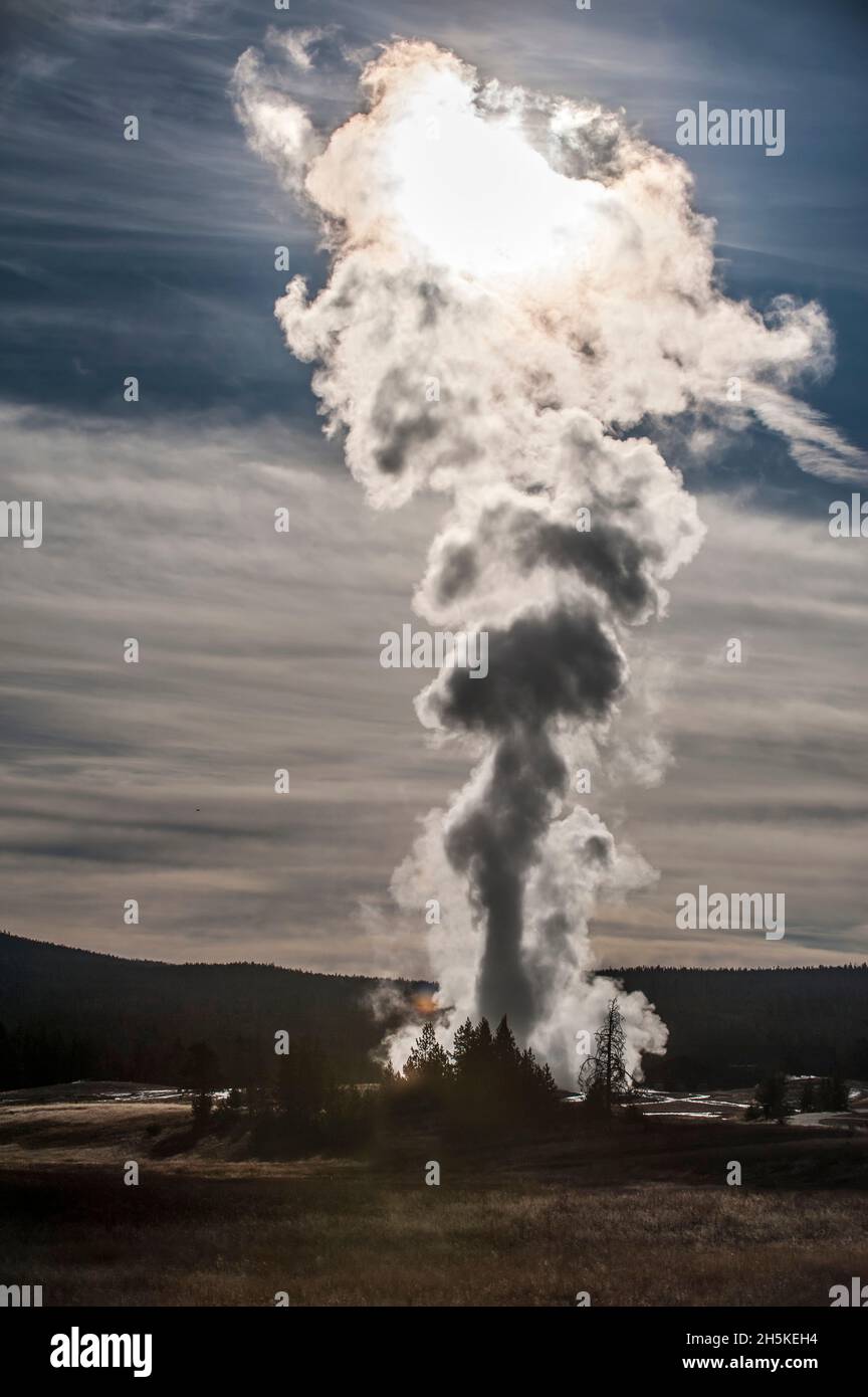 sun-illuminating-a-column-of-thermal-steam-billowing-from-old-faithful