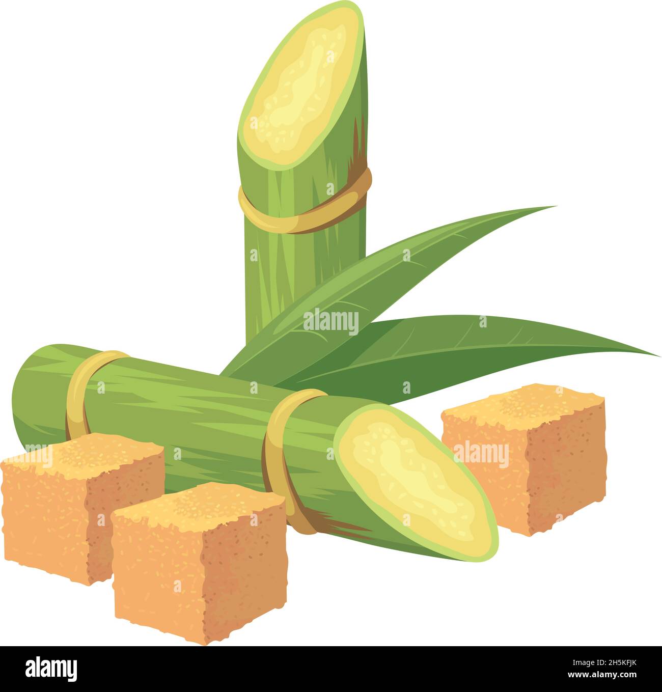 Cartoon cane sugar. Cubes of brown sugar and sugarcane raw plant, vector  illustration isolated on white background Stock Vector Image & Art - Alamy