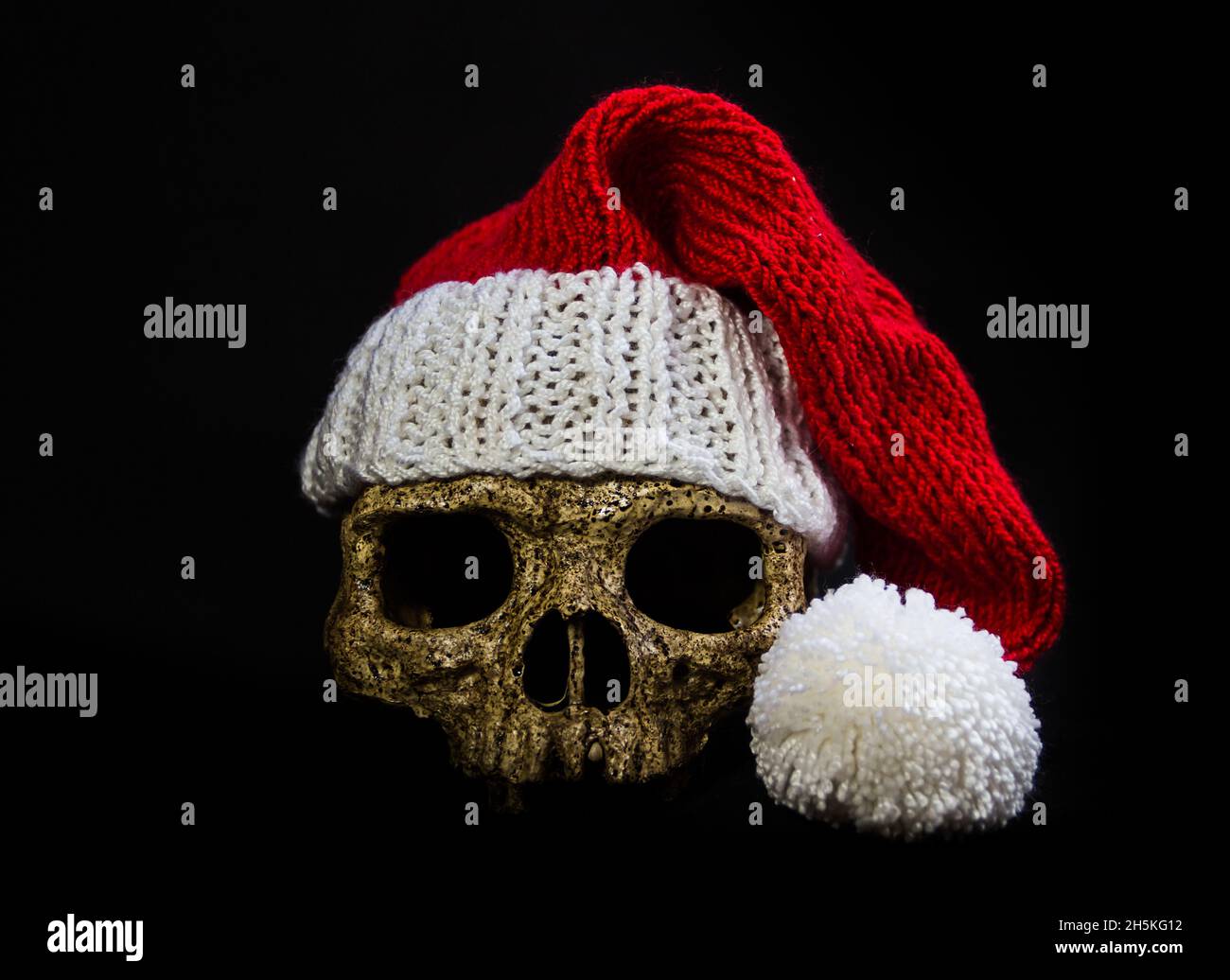 Skull in a Christmas Hat Straw Topper Graphic by