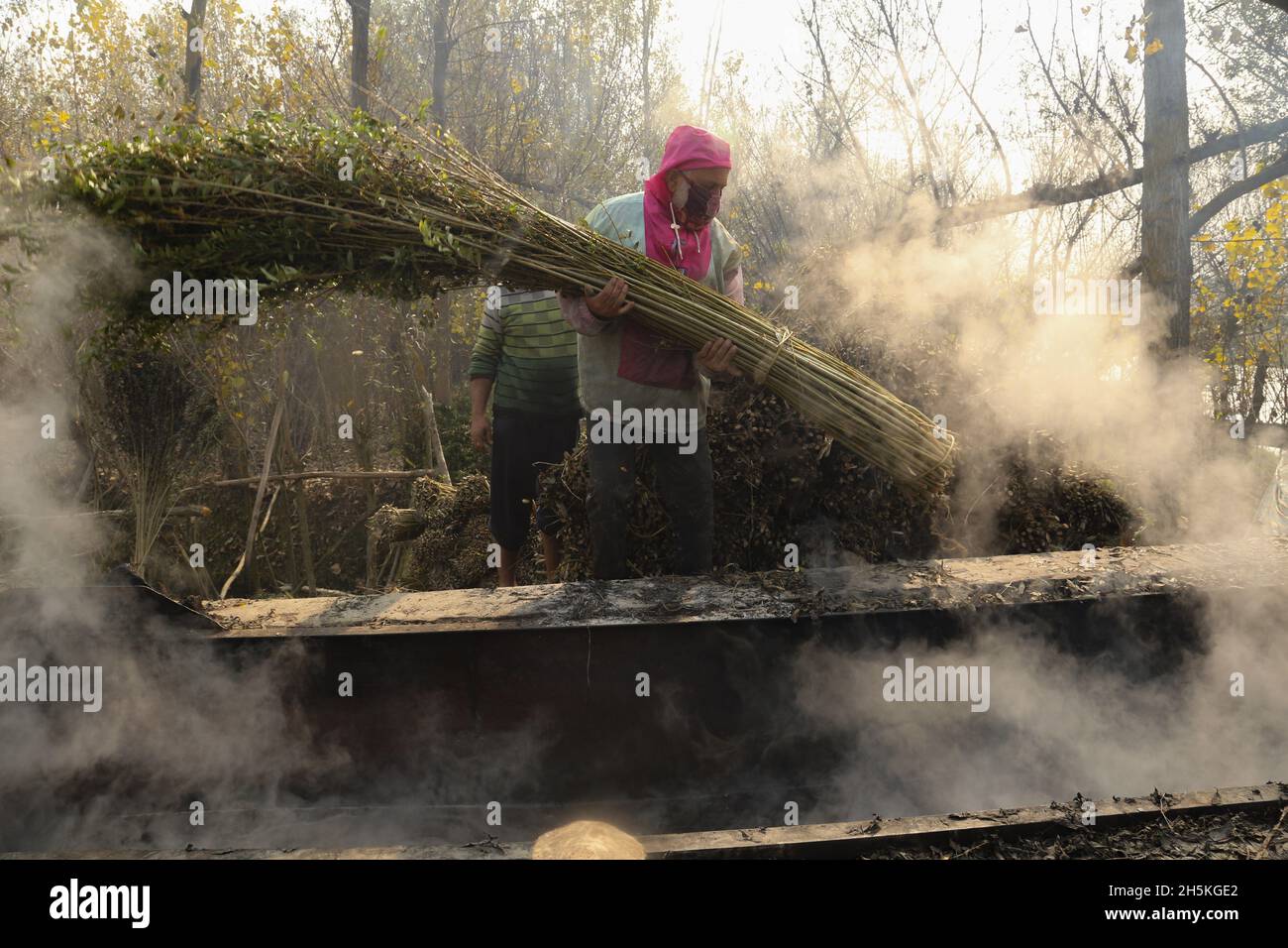 A Kashmiri villager boil wicker sticks to soften their skin in one of ...