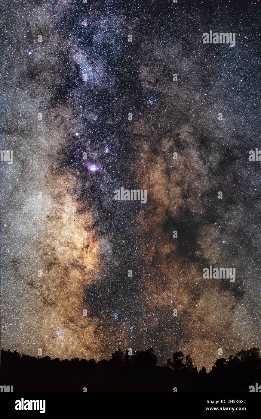Vertical shot of the beautiful night sky with billions of stars Stock ...