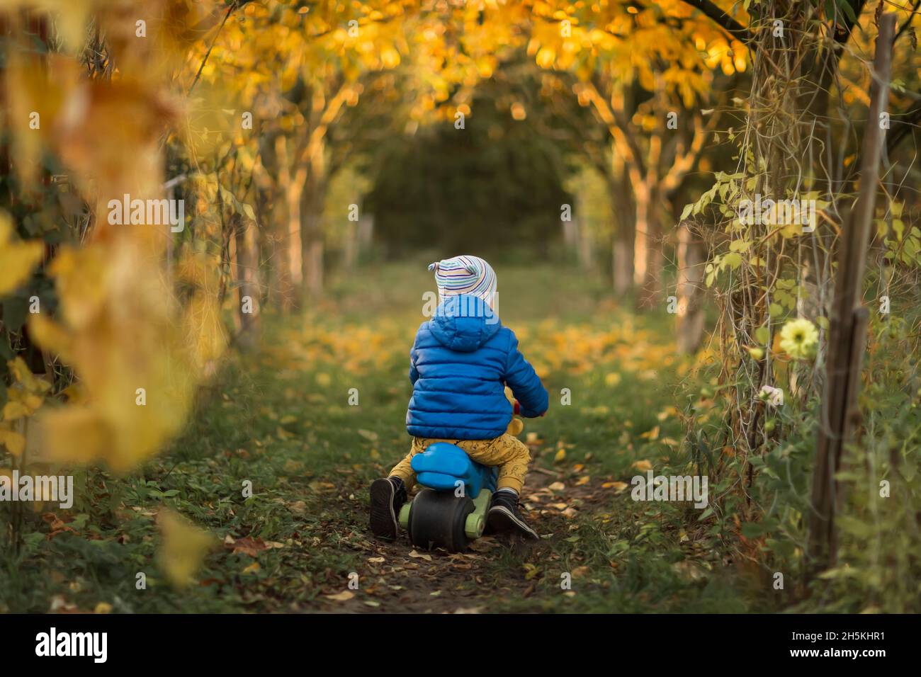 Small boy in blue jacket riding plastic toy motorbike in garden Stock Photo