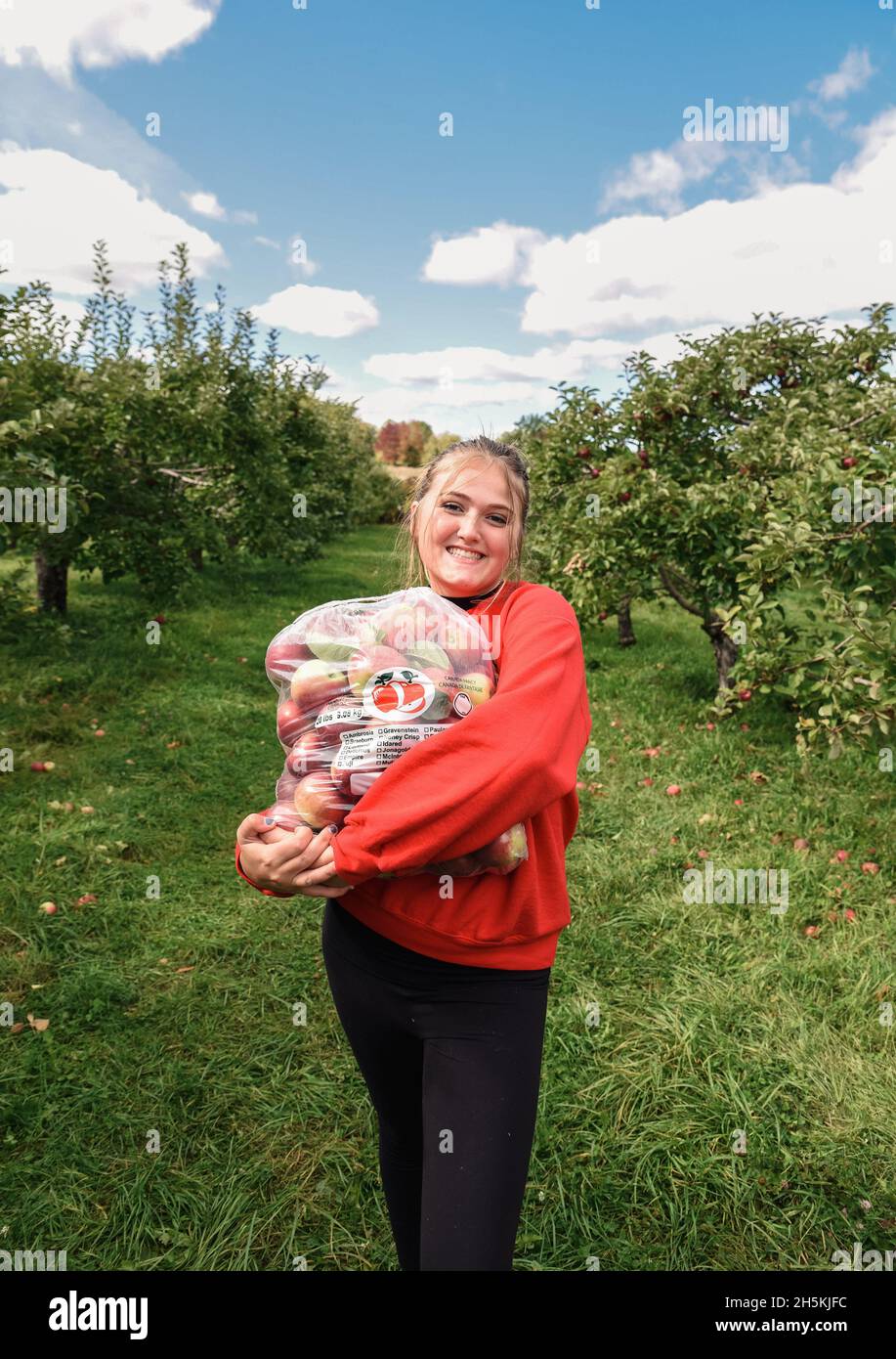 Happy teen girl holding bag of fresh picked apples in an orchard. Stock Photo