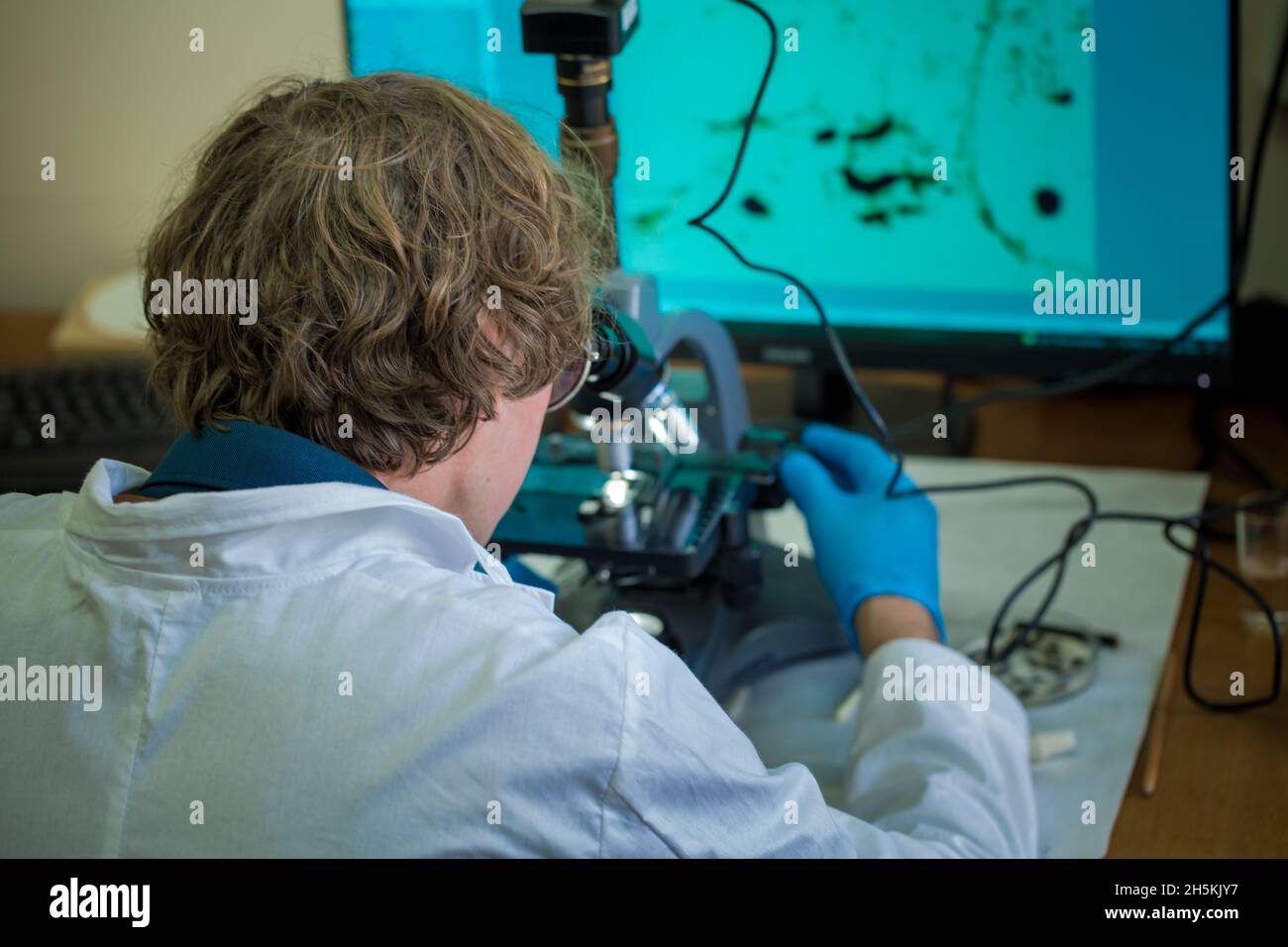 Scientist examines cannabis sativa mold through an electron microscope Stock Photo