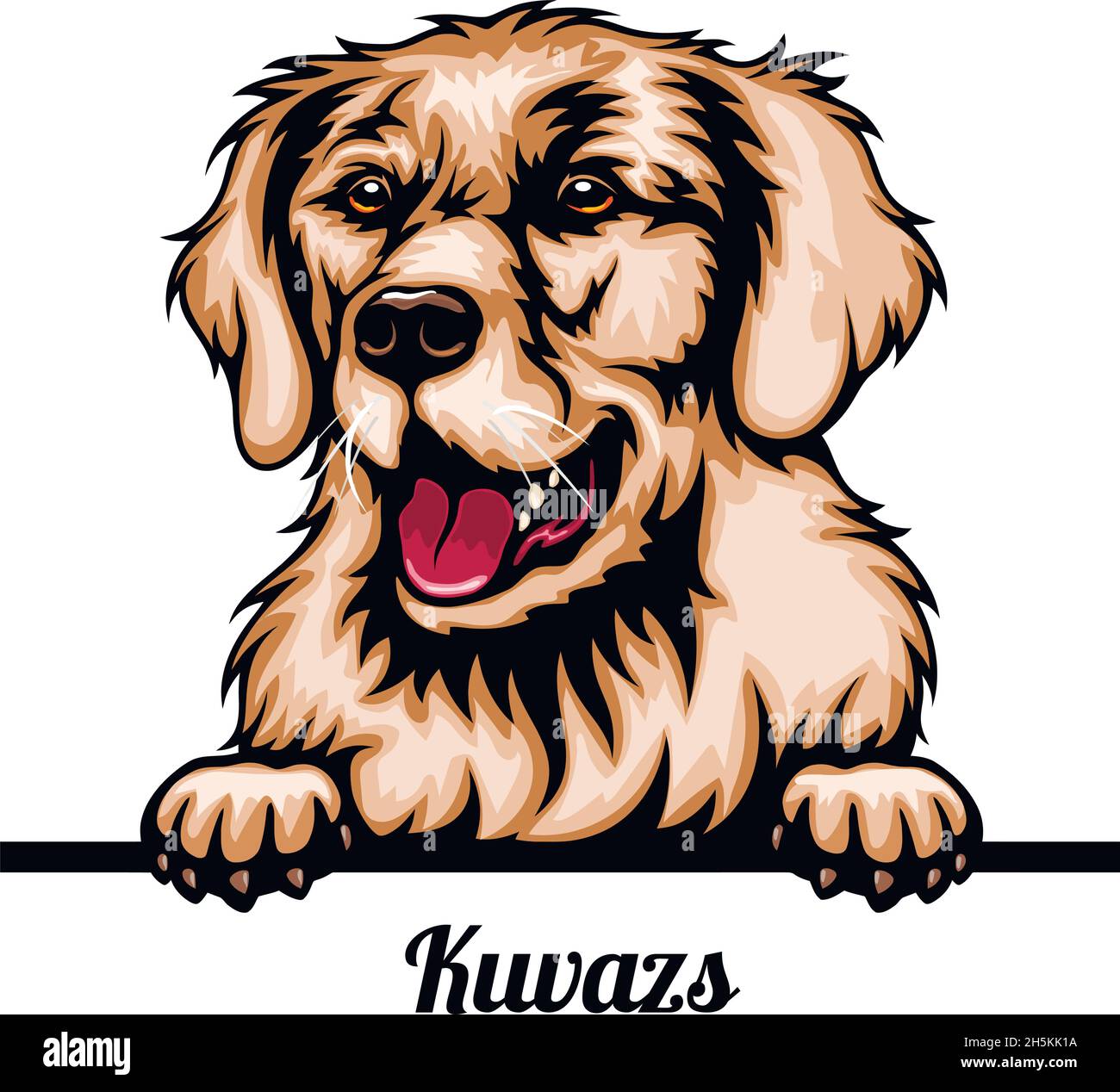 Kuvazs - Color Peeking Dogs - dog breed. Color image of a dogs head isolated on a white background - vector stock Stock Vector