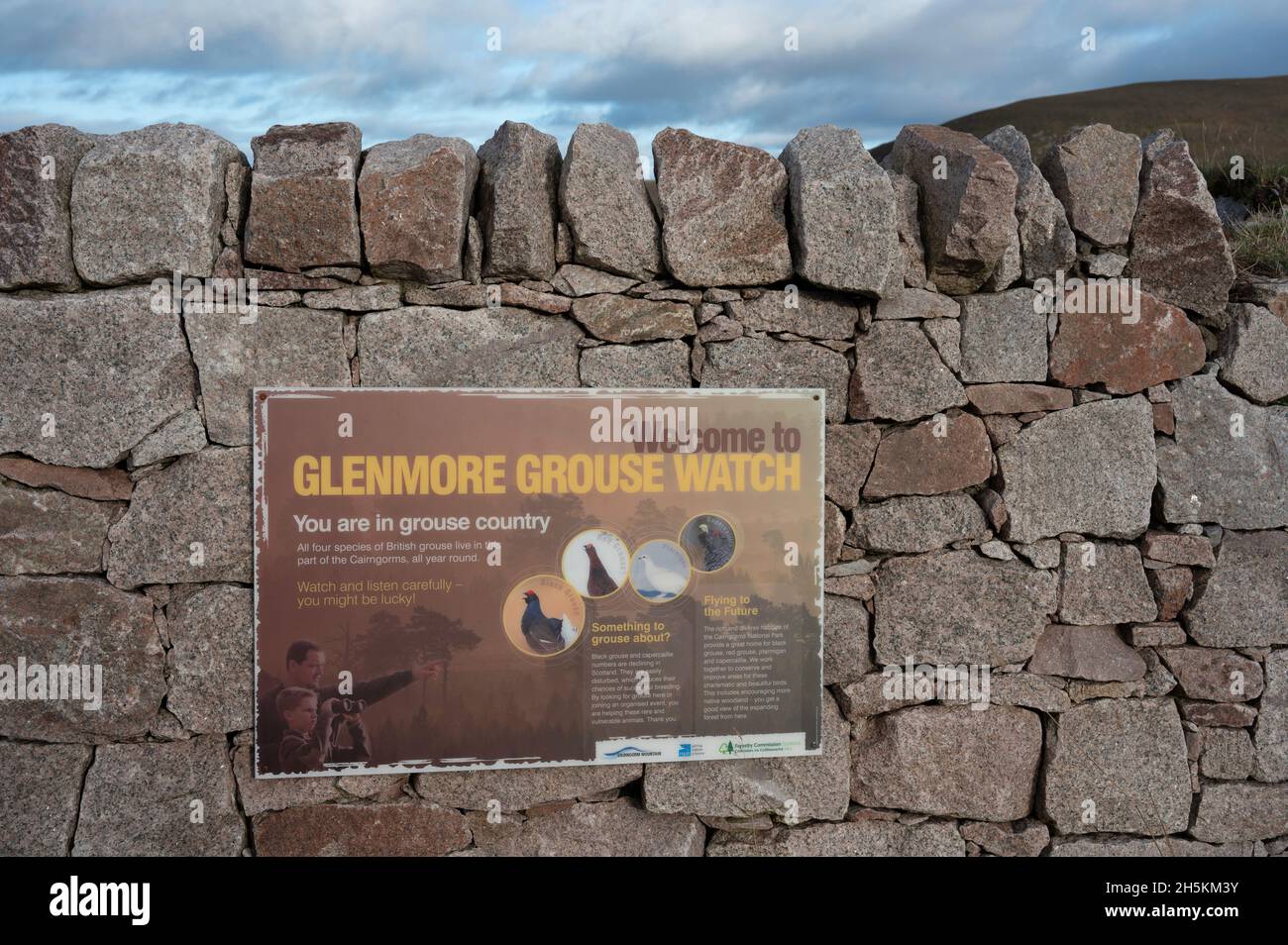 Sign for Glenmore Grouse Watch on stone wall with blue sky and clouds background. Text and illustrations. Stock Photo