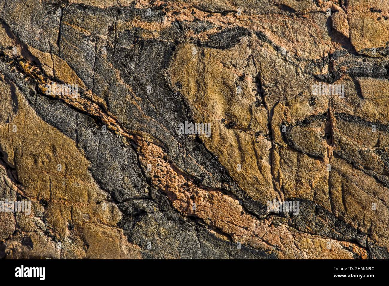 Metamorphic rock quartz detail hi-res stock photography and images - Alamy