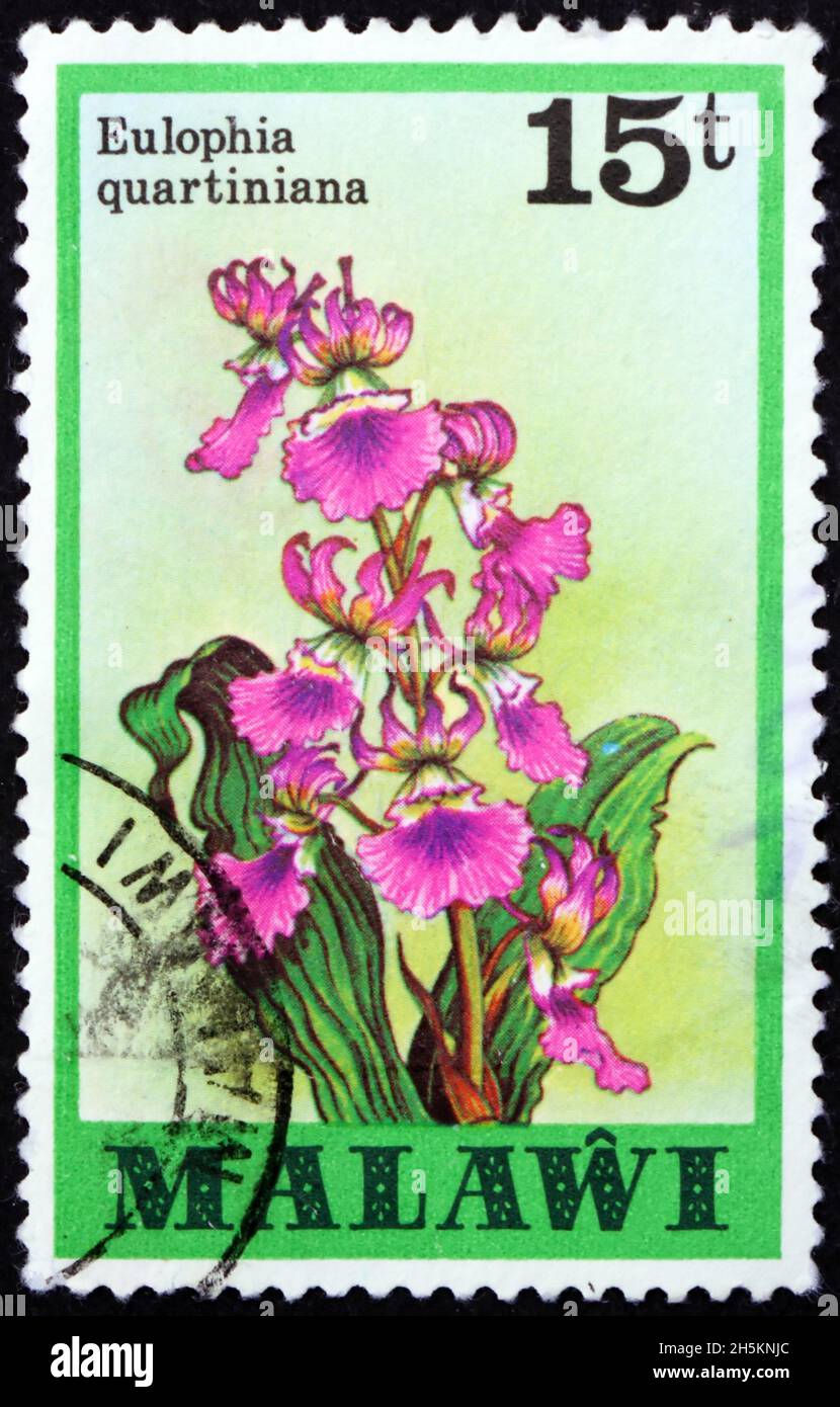 MALAWI - CIRCA 1979: a stamp printed in Malawi shows eulophia quartiniana, is a species of orchid native to Africa and Arabian Peninsula, circa 1979 Stock Photo