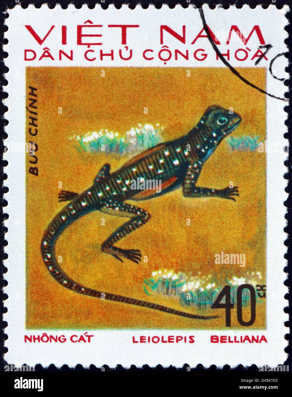 VIETNAM - CIRCA 1975: a stamp printed in Vietnam shows butterfly lizard, leiolepis belliana, is a widespread species native to Asia, circa 1975 Stock Photo
