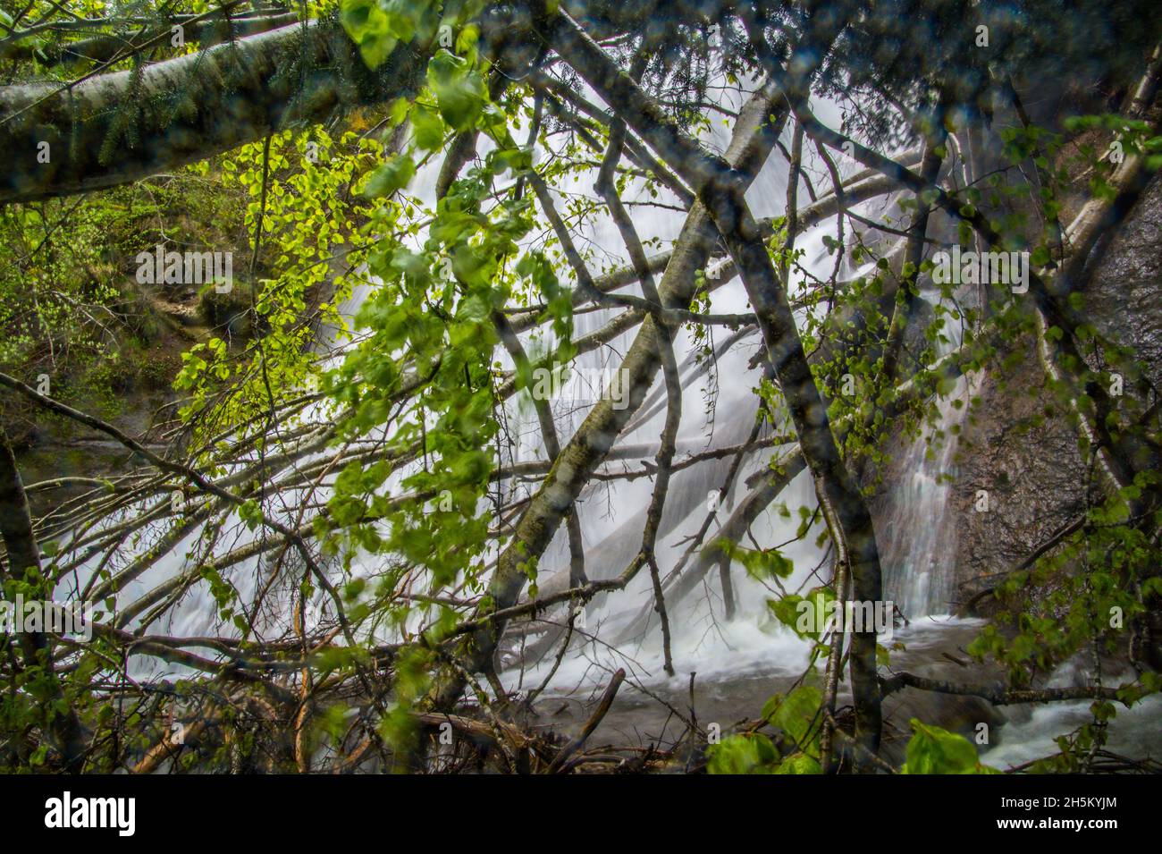 Coin cascade hi-res stock photography and images - Alamy