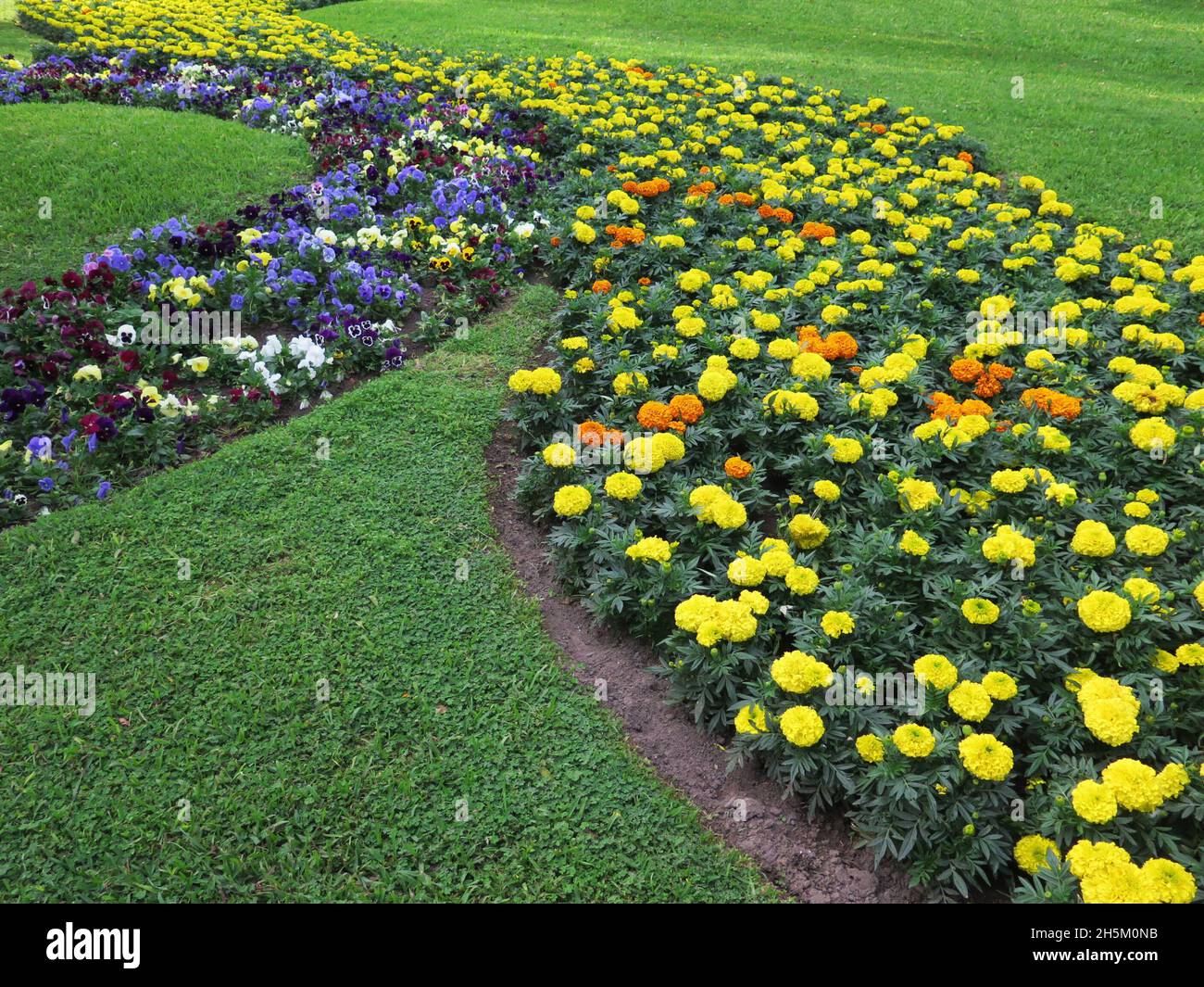 Colorful Flower beds in formal garden Stock Photo - Alamy