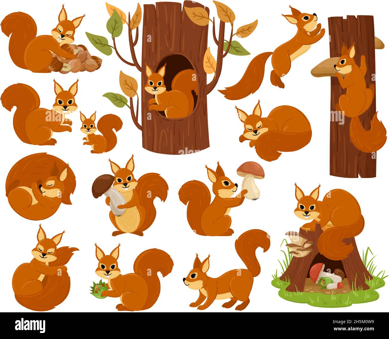 Cartoon squirrel woodland animal character, sleeping, jumping, playing. Forest wild nimble squirrel vector illustration set. Cute woods fauna rodent Stock Vector