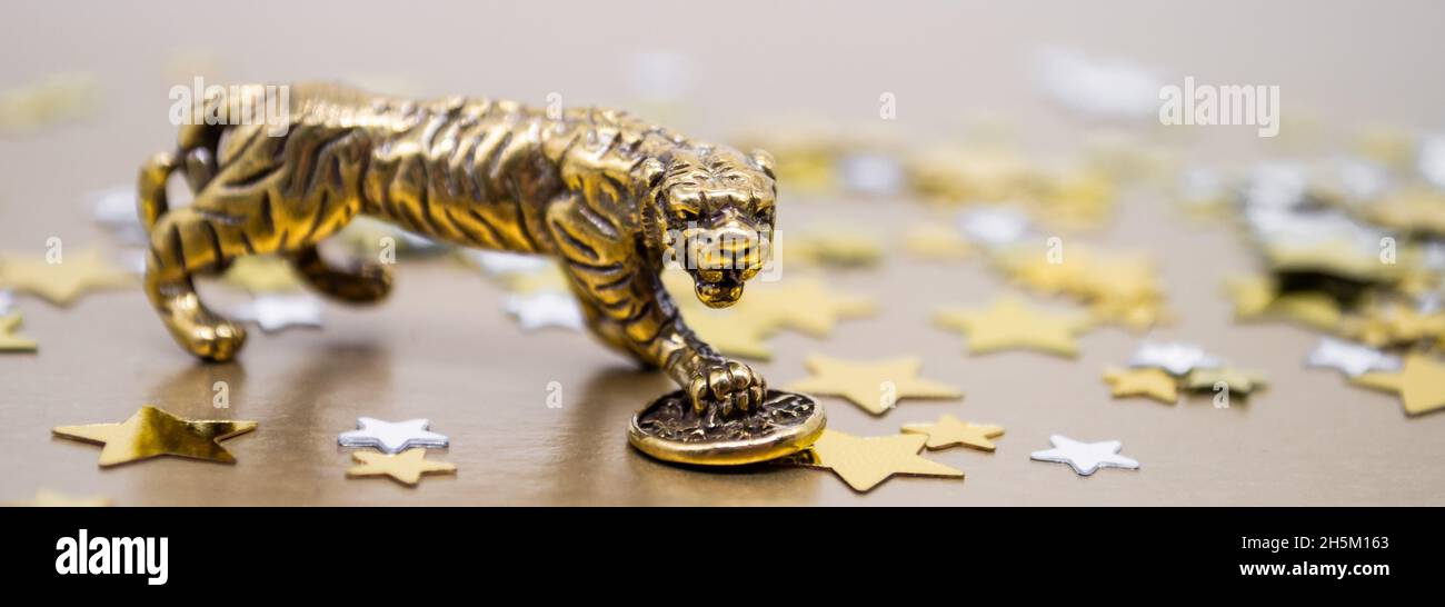Banner with bronze figure of a tiger with a coin - the symbol of the Chinese new year 2022 on a background of golden stars, copy space. Wishes of good Stock Photo