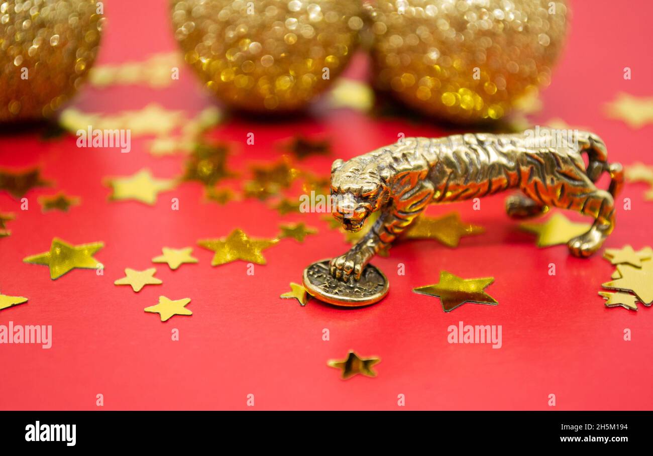 A bronze figure of a tiger with a coin - the symbol of the Chinese new year 2022 on a background of red, gold stars and balls, a copy space. Stock Photo