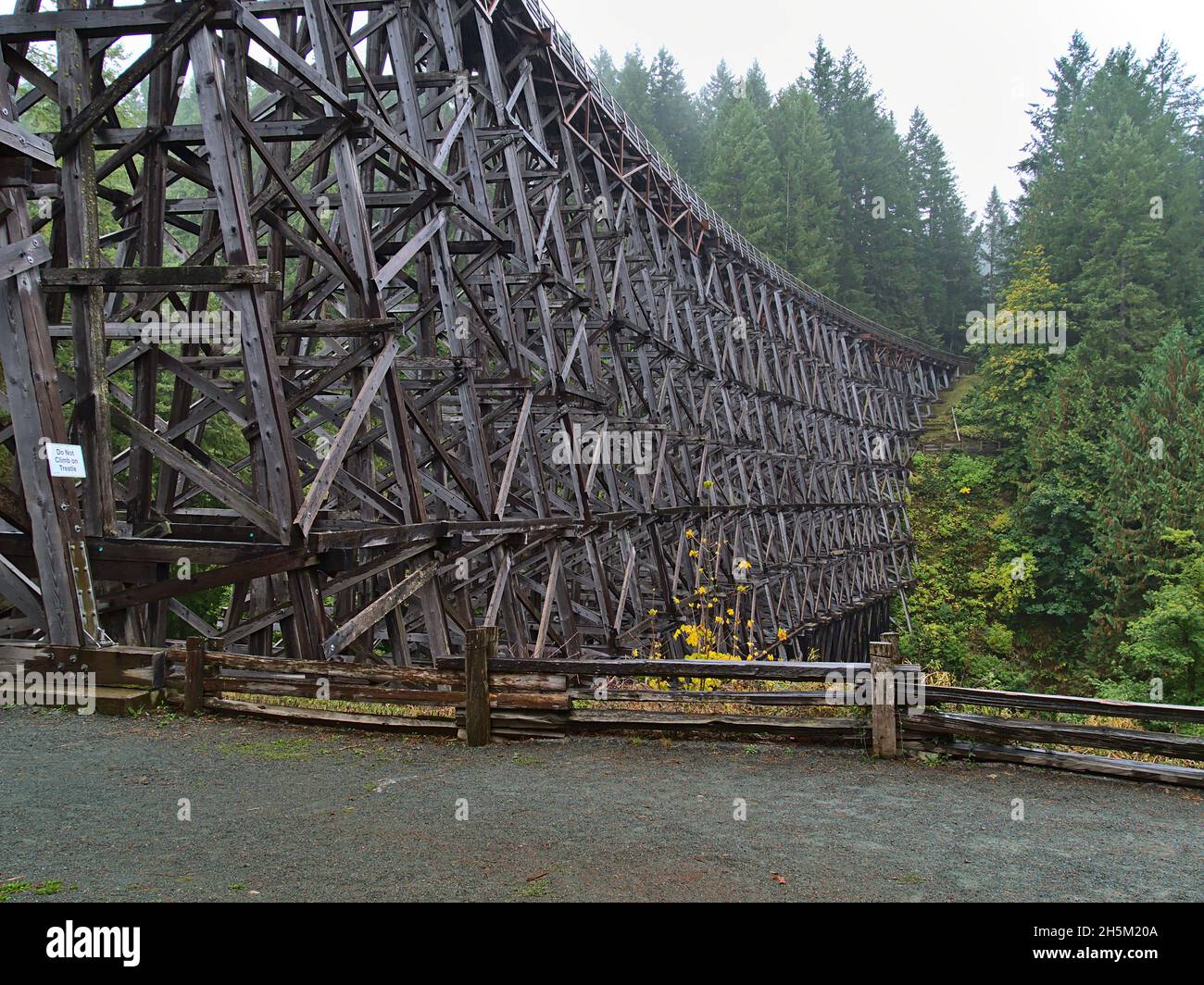 View of restored historic railroad bridge Kinsol Trestle made of wooden boards surrounded by dense forest on Vancouver Island, BC, Canada. Stock Photo