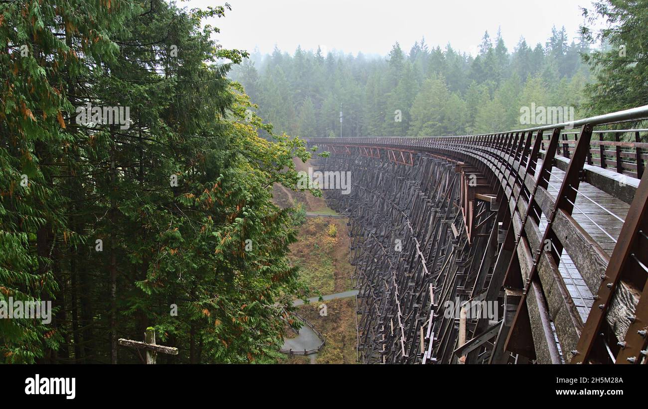 Mystic view of restored wooden railroad bridge Kinsol Trestle, spanning Koksilah River, on Vancouver Island, British Columbia, Canada. Stock Photo