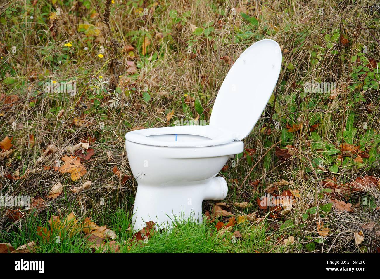 Toilet in nature, landscape with toilet bowl, Hanover, Germany Stock