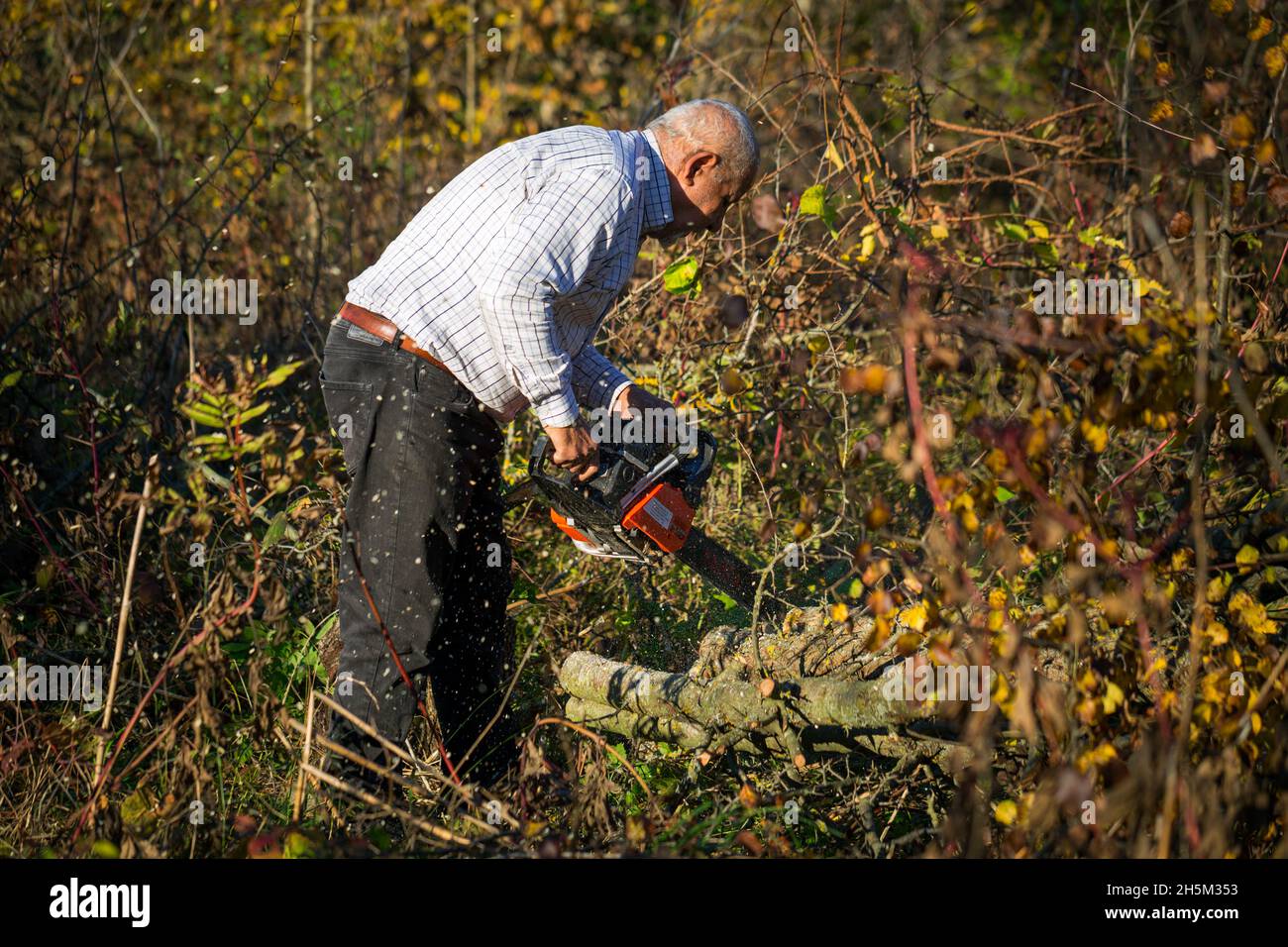 Figure of a man cutting trees and bushes with a petrol chainsaw to