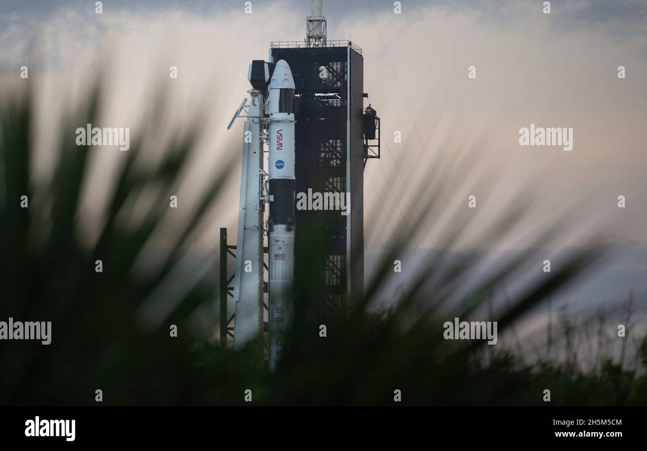 Cape Canaveral, United States of America. 10 November, 2021. A SpaceX Falcon 9 rocket with the Crew Dragon spacecraft for the NASA SpaceX Crew-3 mission to the International Space Station continues preparations on Launch Complex 39A at the Kennedy Space Center early morning November 10, 2021 in Cape Canaveral, Florida. The crew of NASA astronauts Raja Chari, Tom Marshburn, Kayla Barron, and European Space Agency astronaut Matthias Maurer are expected to launch later in the day after several delays. Credit: Joel Kowsky/NASA/Alamy Live News Stock Photo