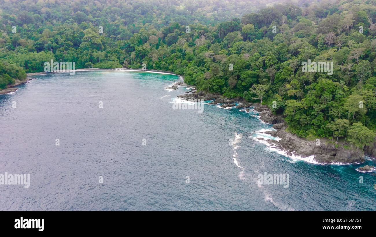 Drone forest beach hi-res stock photography and images - Alamy