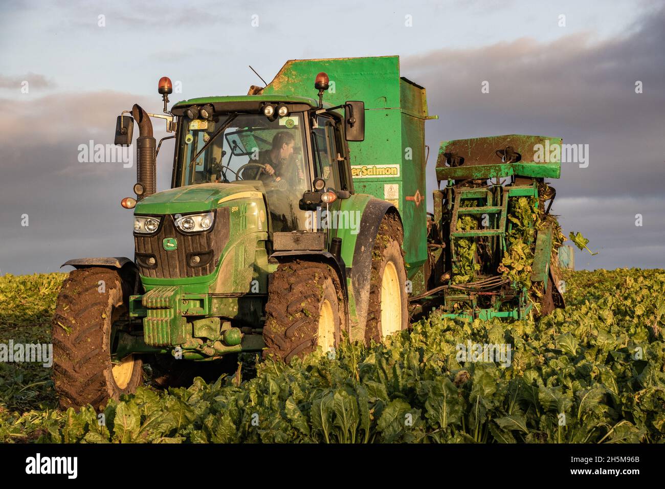 John Deere & Armer Beet harvester Stock Photo