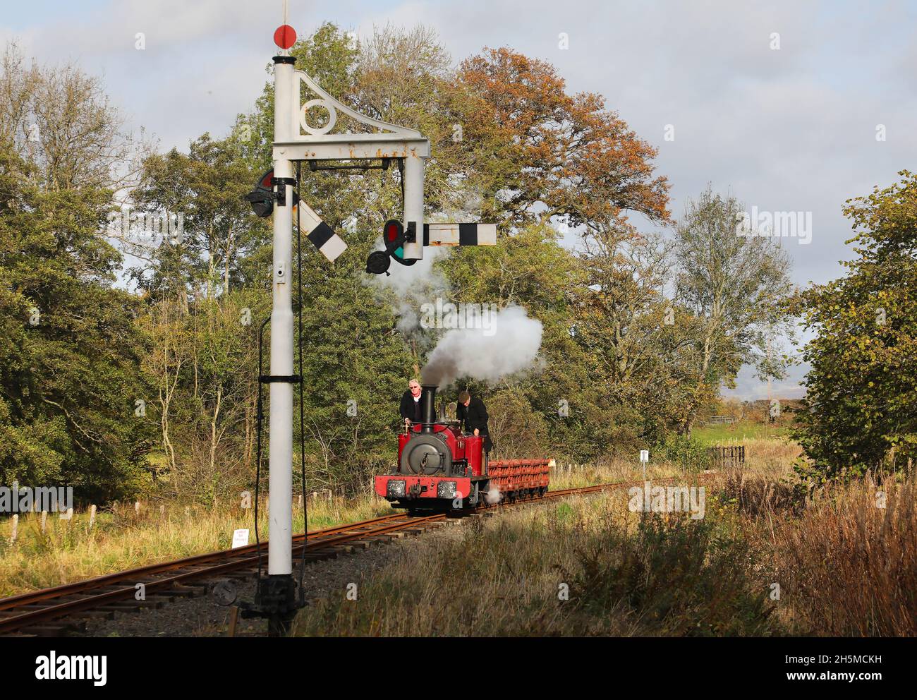 George B approaches Llangower on the Bala lake Railway on 7.11.21. Stock Photo