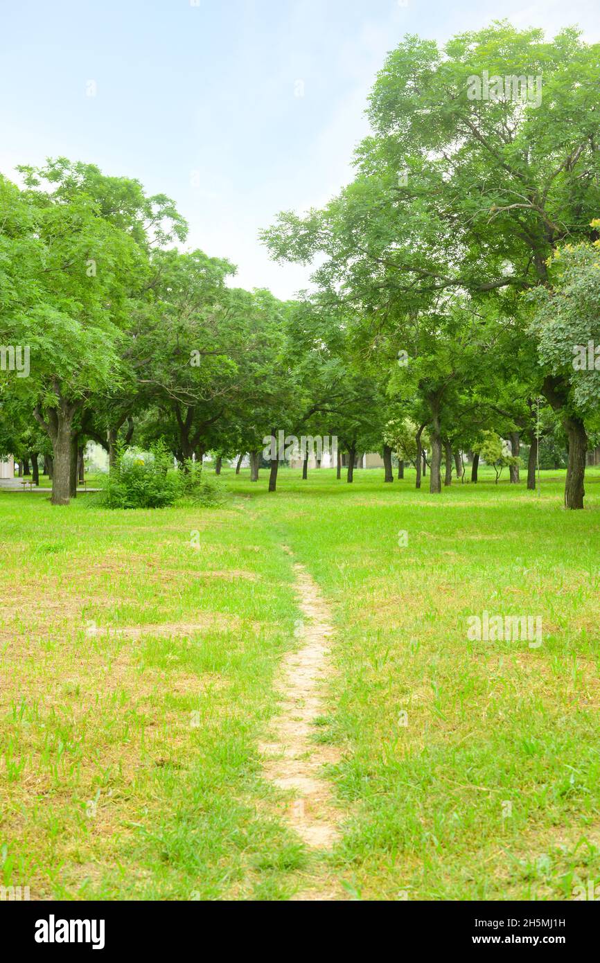 Pothway Pathway in beautiful city hi-res stock photography and images - Alamy