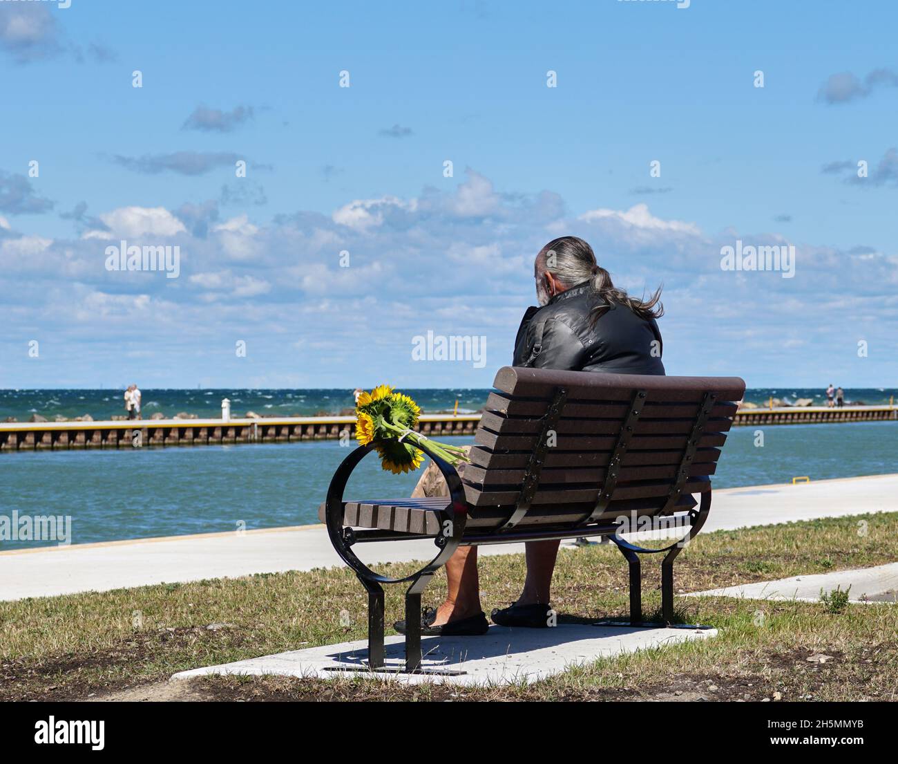 Elderly Man sitting on park bench overlooking Lake Ontario, Canada Stock Photo