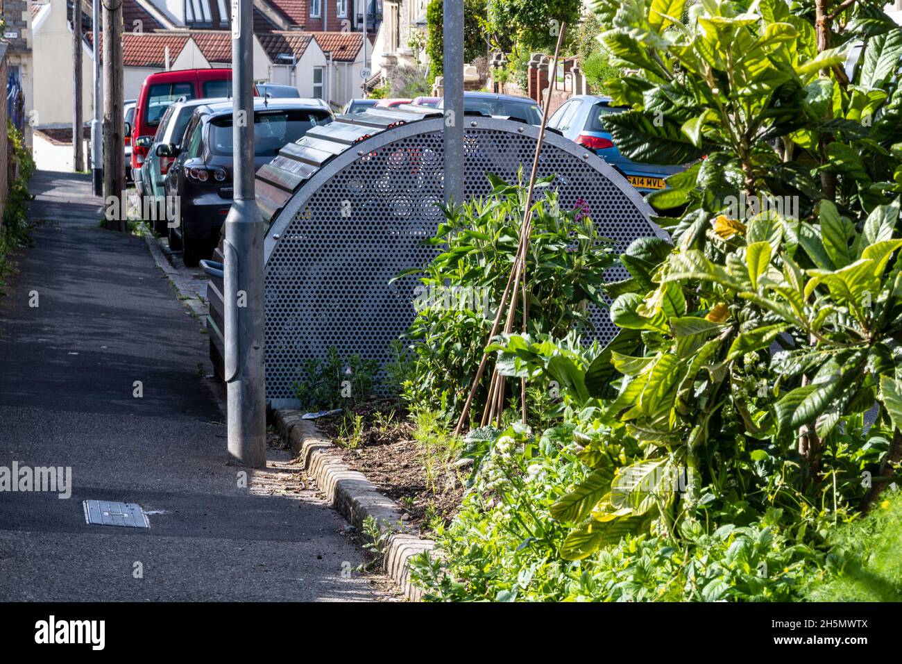Plants grow in a small border beside a Cyclehoop Bike Hangar in a Home Zone neighbourhood in Southville Bristol Stock Photo Alamy