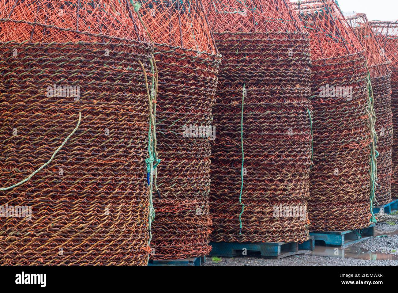 Crab traps, Branch, Newfoundland and Labrador NL, Canada Stock Photo