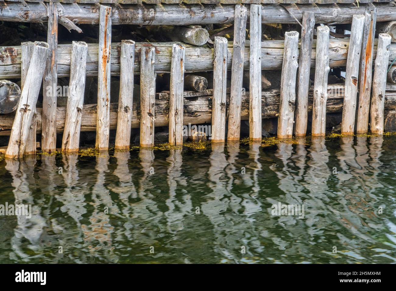 Harbour piling reflections, Cottlesville, Newfoundland and Labrador NL, Canada Stock Photo