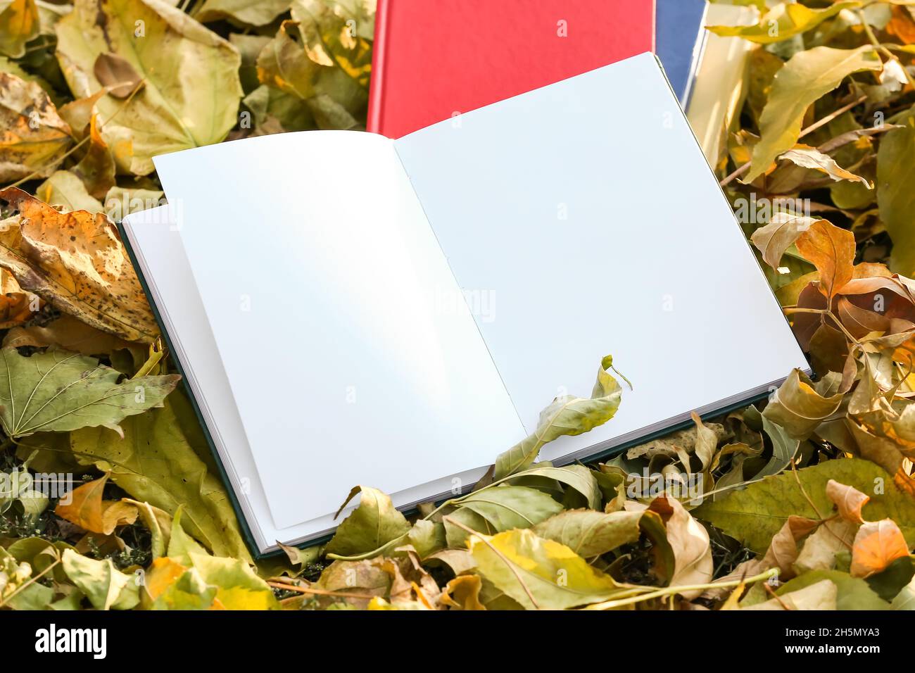 Empty book cover autumn leaves hi-res stock photography and images - Alamy