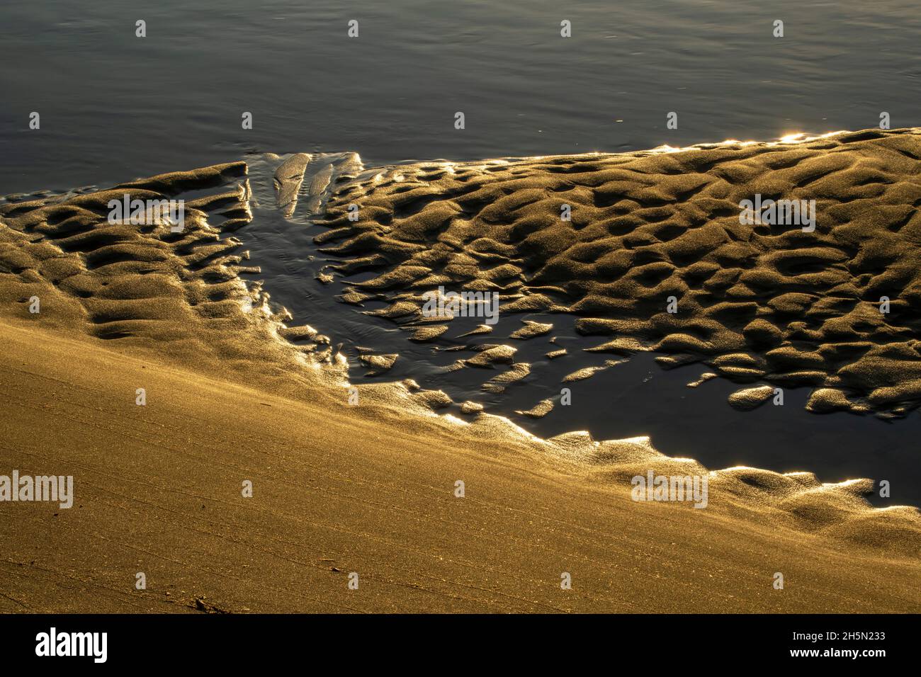 Sand erosion patterns at the edge of a brook, J.T. Cheeseman Provincial Park, Newfoundland and Labrador NL, Canada Stock Photo