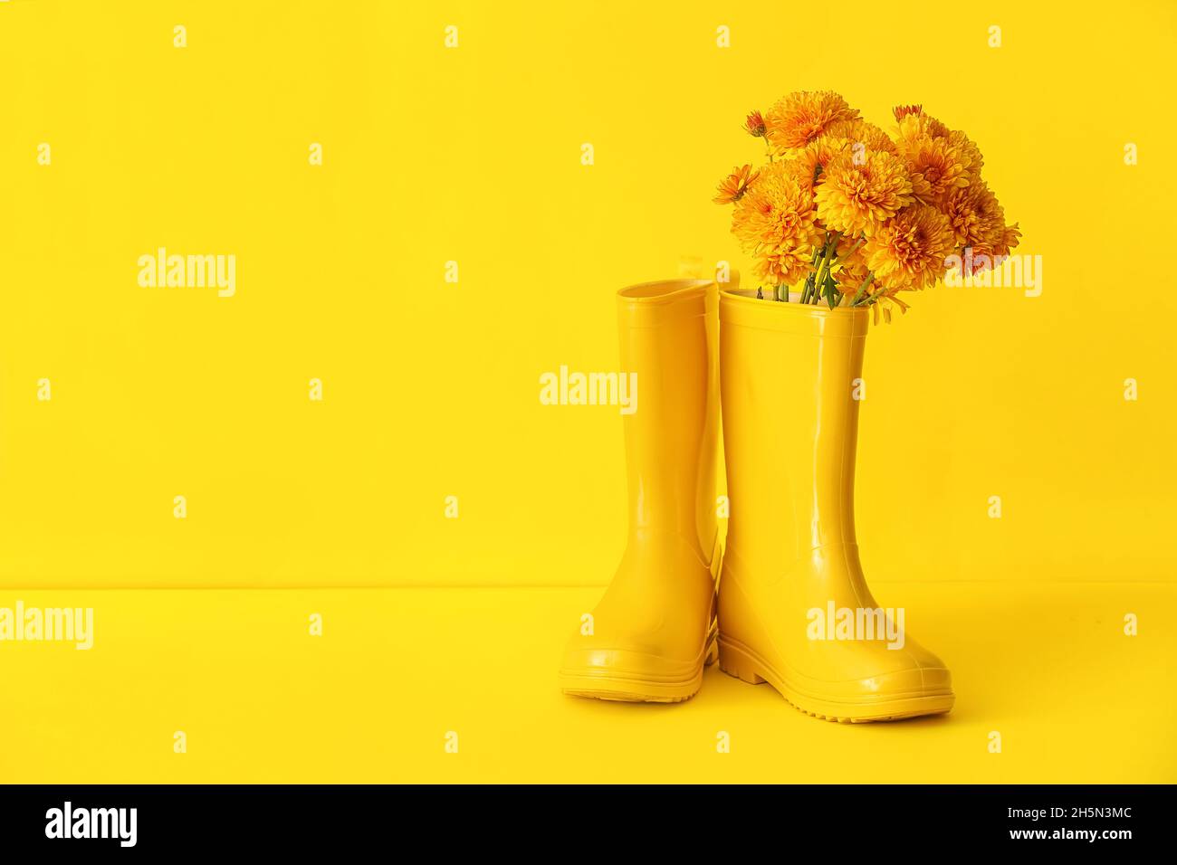 Pair of rubber boots and flowers on yellow background Stock Photo - Alamy