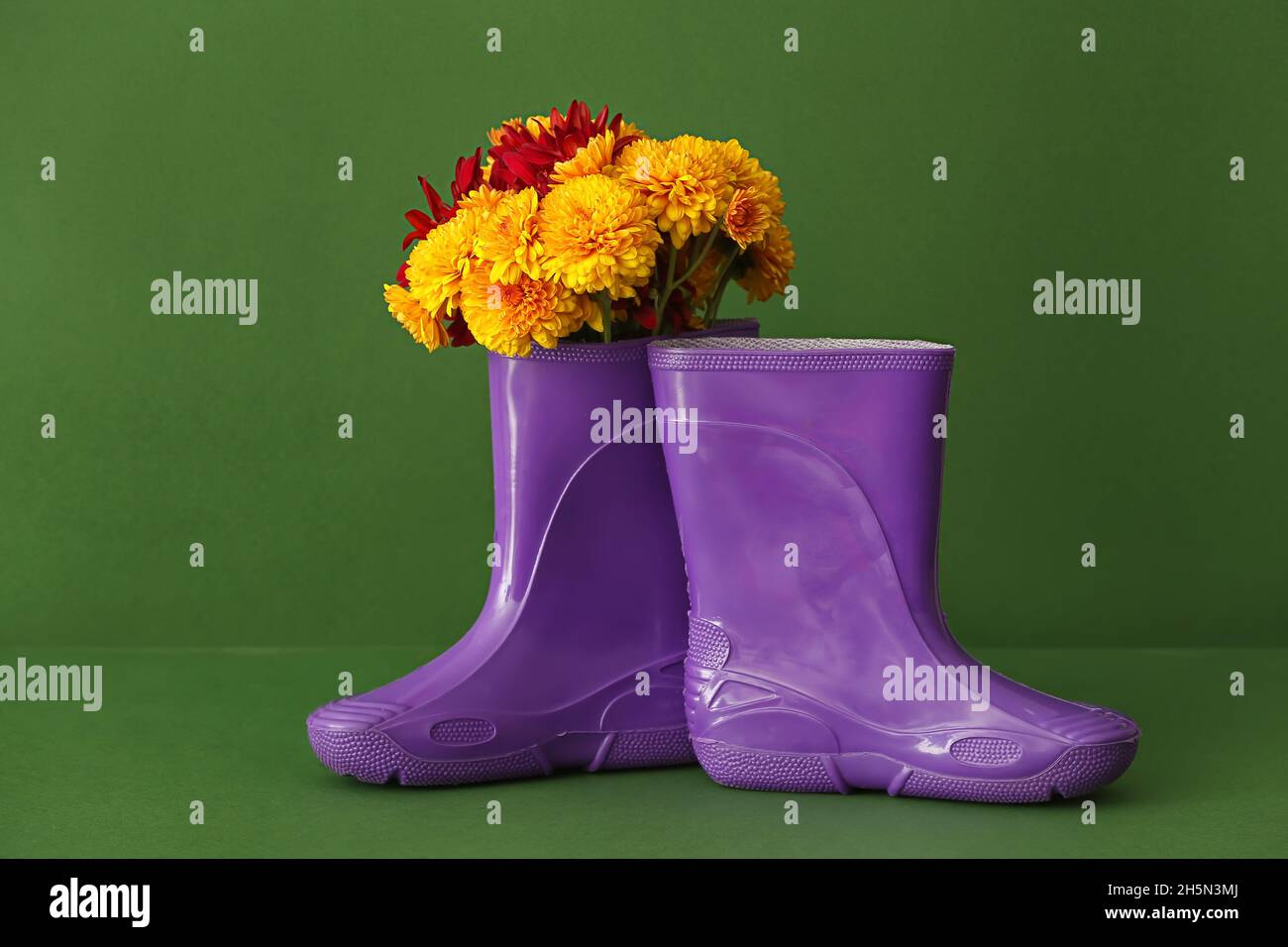 Pair of rubber boots and beautiful flowers on color background Stock ...
