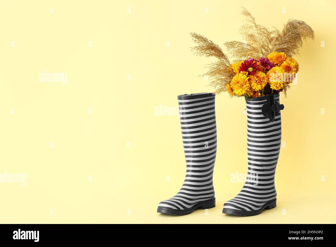 Pair of rubber boots with bouquet of flowers on color background Stock ...