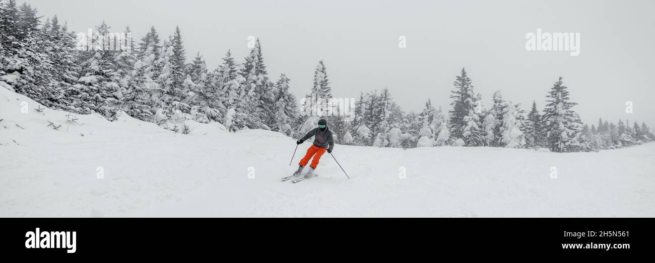 Skiing in idyllic mountain winter forest snow landscape. Man skiing on beautiful ski slopes on ski holidays travel vacation. Panoramic banner Stock Photo