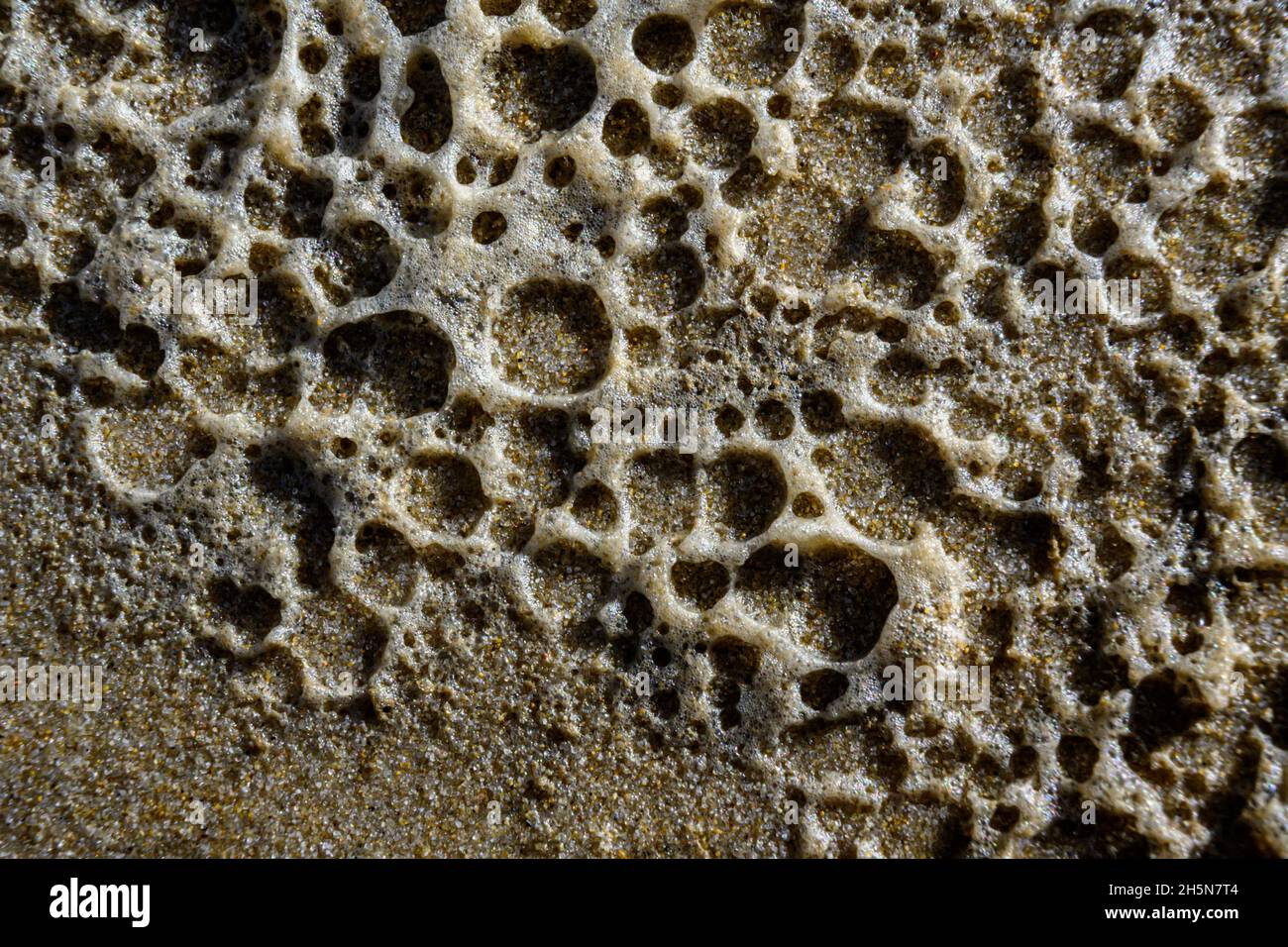 Texture of foam in the sand on the beach (macro) Stock Photo