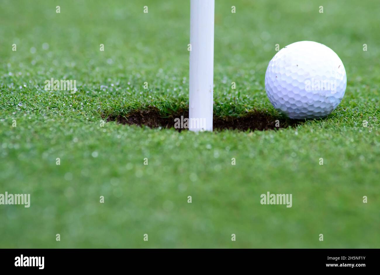 es una fotografia horizontal en la que se ve perfectamente enfocada la pelota de golf en el borde del hoyo Stock Photo