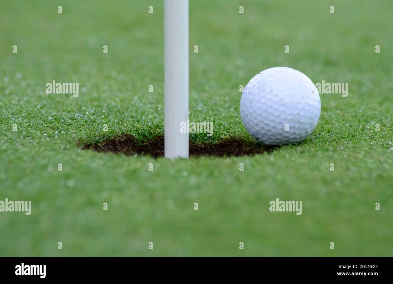 es una fotografia horizontal en la que se ve perfectamente enfocada la pelota de golf en el borde del hoyo Stock Photo