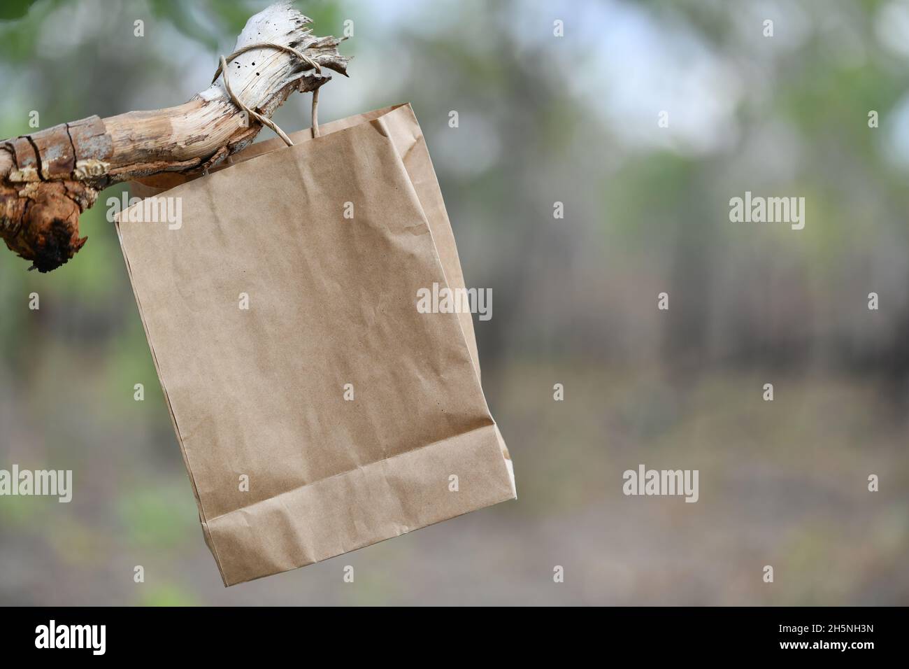 Tree leaves paper bags hi-res stock photography and images - Alamy