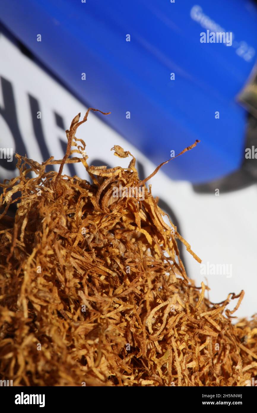Rolling blond albanian tobacco leaves sheldia close up background stock  photography high quality big size prints Stock Photo