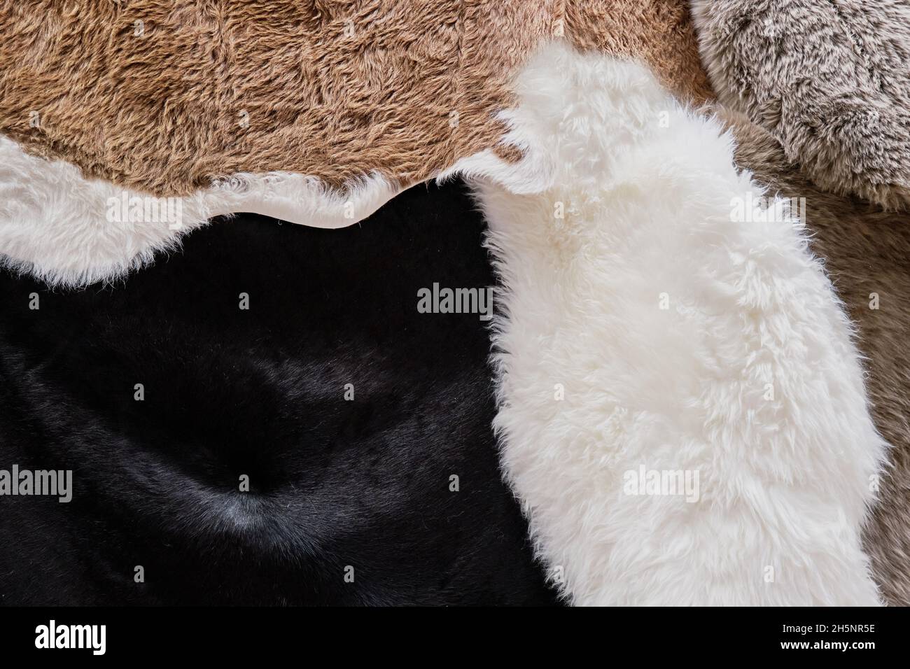 Background in form of texture of natural fur in brown, black and white colors Stock Photo
