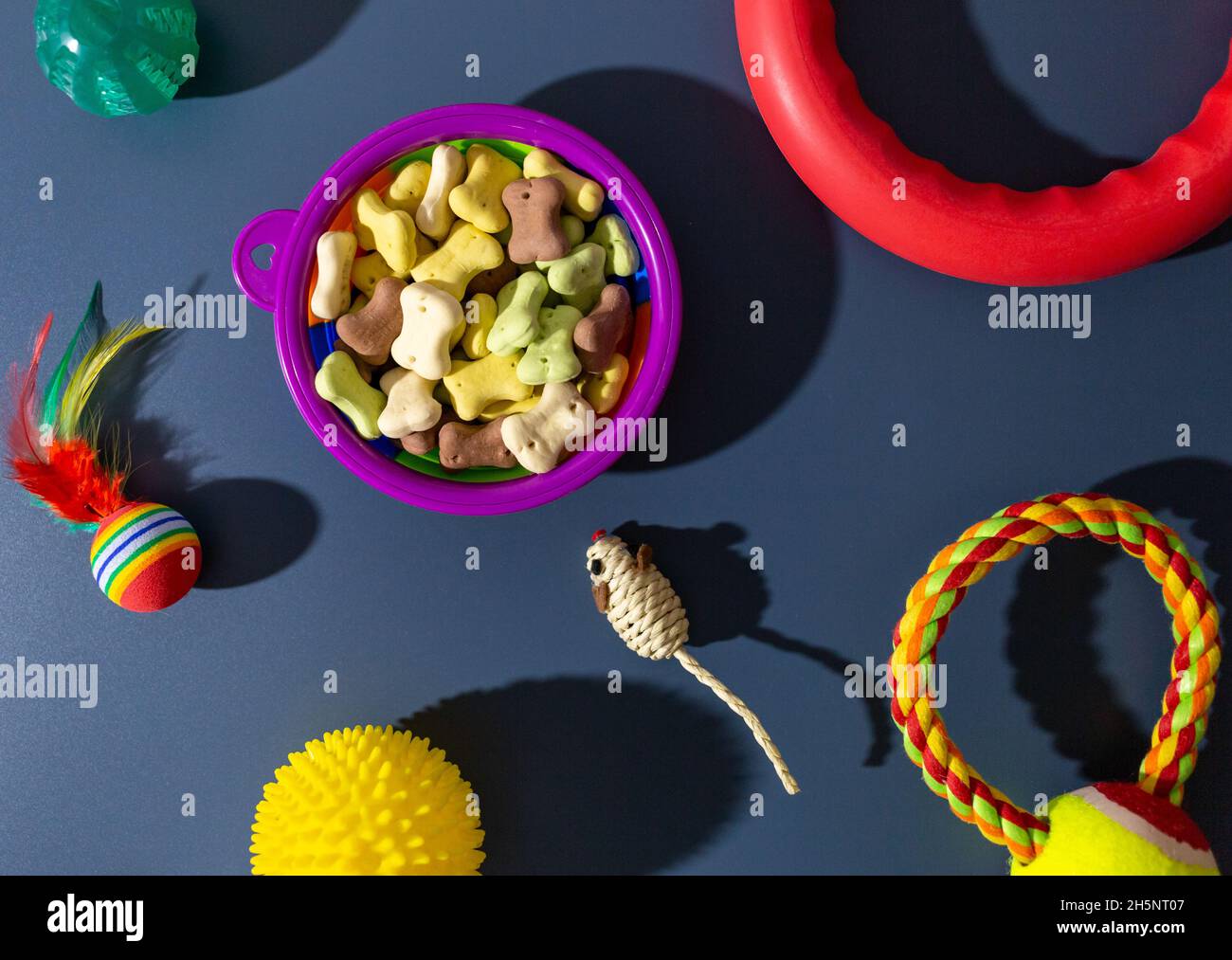 Different multicolored pet care accessories bowl, bones, balls, snacks