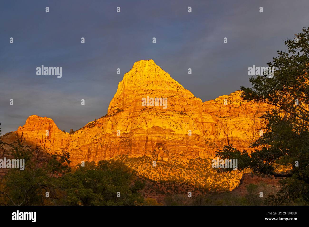 This is a view of Bridge Mountain in the warm light of the setting sun in Zion National Park, Springdale, Washington County, Utah, USA. Stock Photo