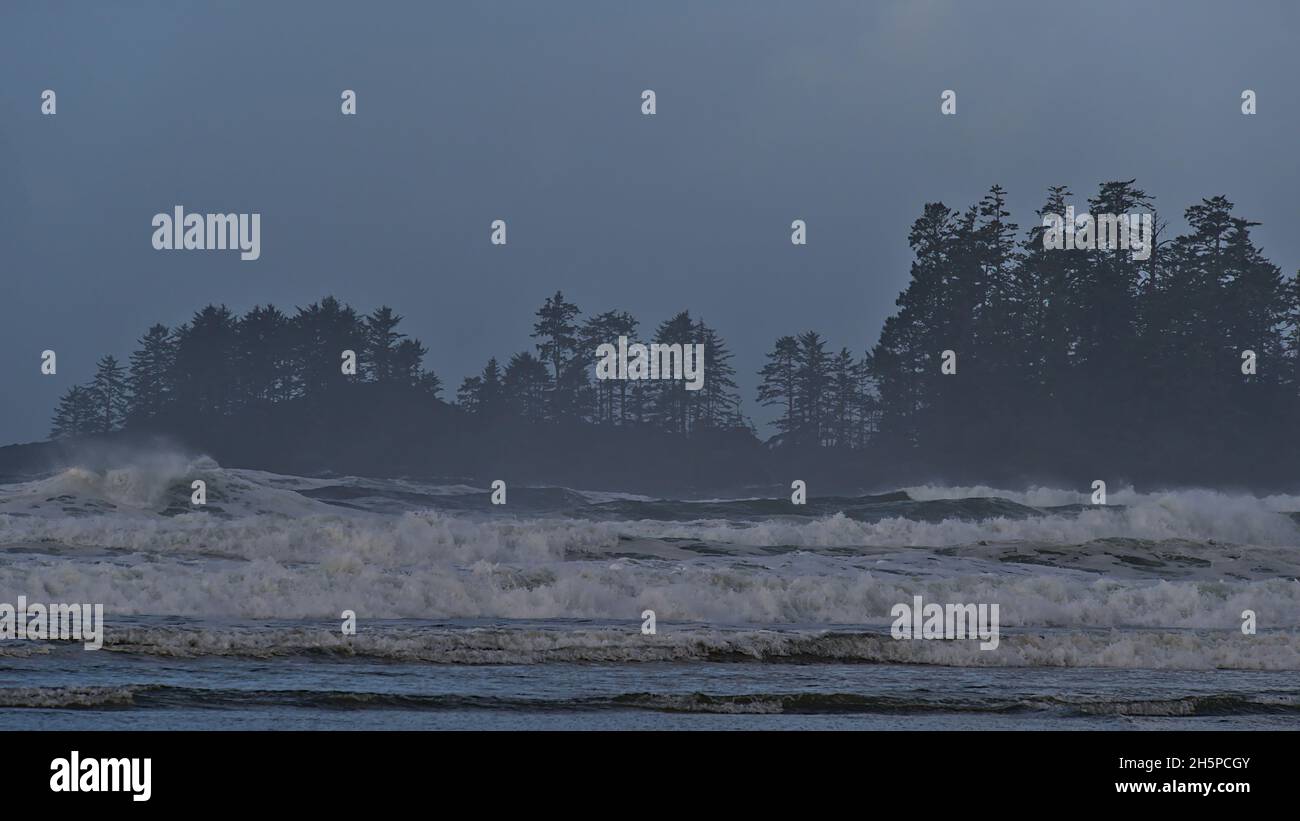 View of the rough Pacific Ocean on the coast of Long Beach with strong waves and the silhouettes of trees near Tofino on Vancouver Island, BC, Canada. Stock Photo